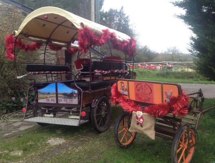 Location de calèches pour une ballade romantique